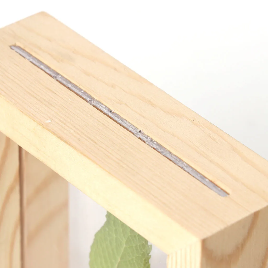 Креативная прозрачная ваза для гидропонных растений деревянная рамка кофейня