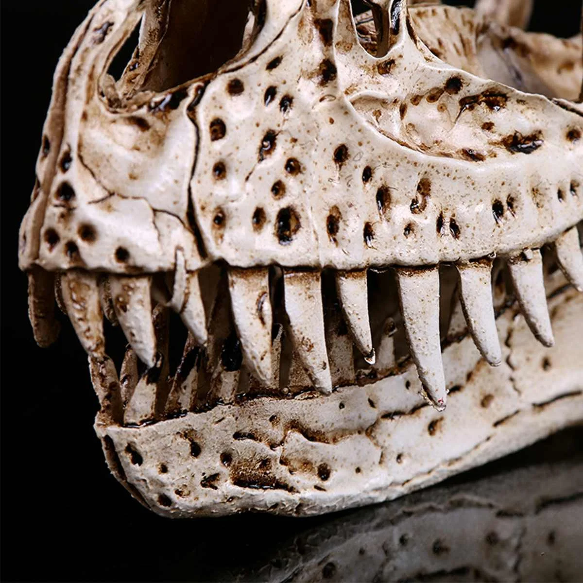 DIY Ceratosaurus изделия из смолы динозавр зуб череп обучение скелет модель Хэллоуин для дома и офиса вечерние украшения 3x7x17,5 см