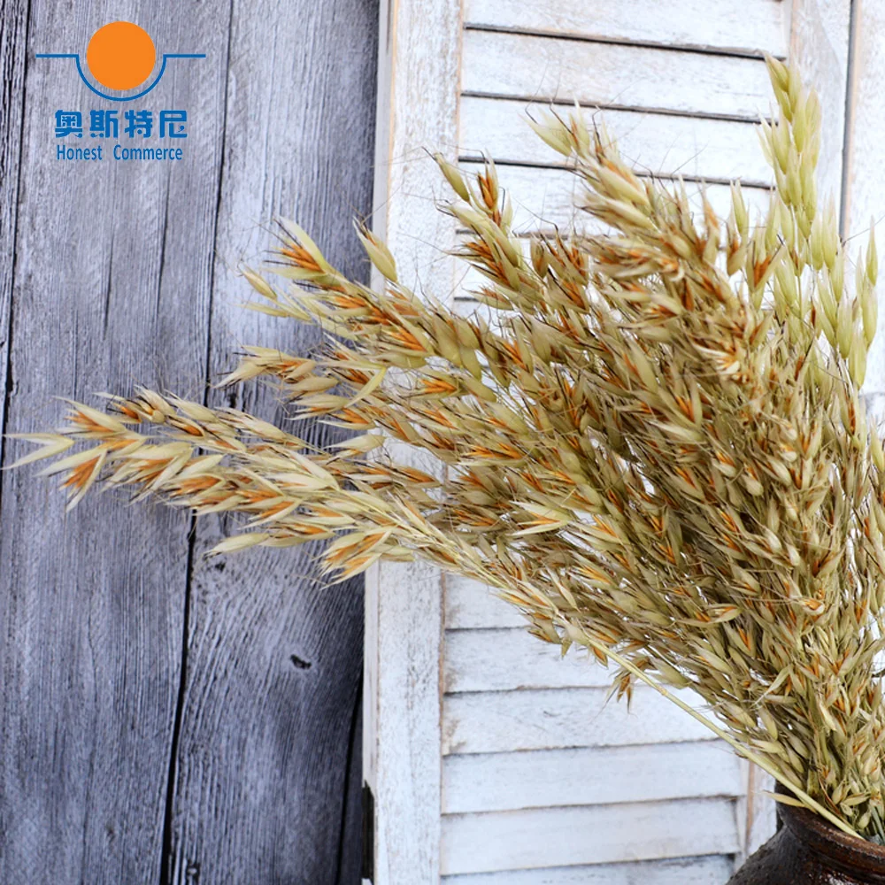 50 шт. сухие букеты из натуральных цветов|natural flower bouquets|flower bouquetdried natural flowers |