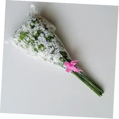 10 шт. Детские Искусственные Шелковые Растения|baby breath|gypsophila artificialsilk plants |