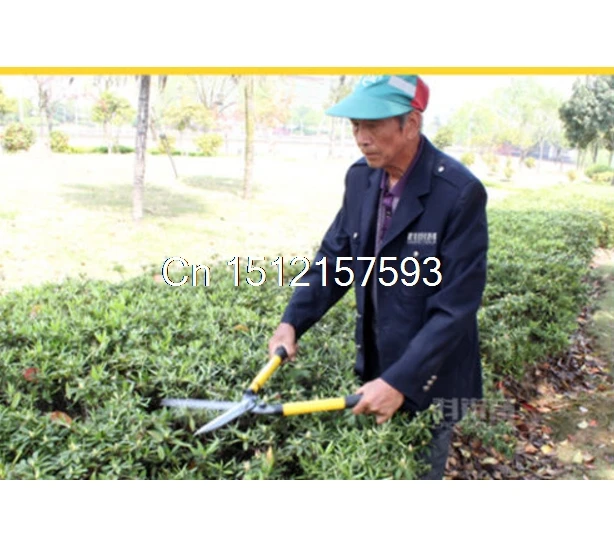 Телескопические сад Ножницы секатор фруктовых деревьев филиала инструмент