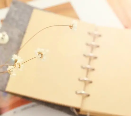 Блокнот ватный Войлок набор для рукоделия гриб ремесло поставка Материал needlecraft