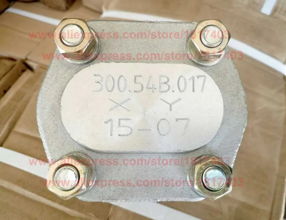 300.54B.017 Шестерни насос с использованием геотермальной энергии (CBN E310) Shantuo Тайшань