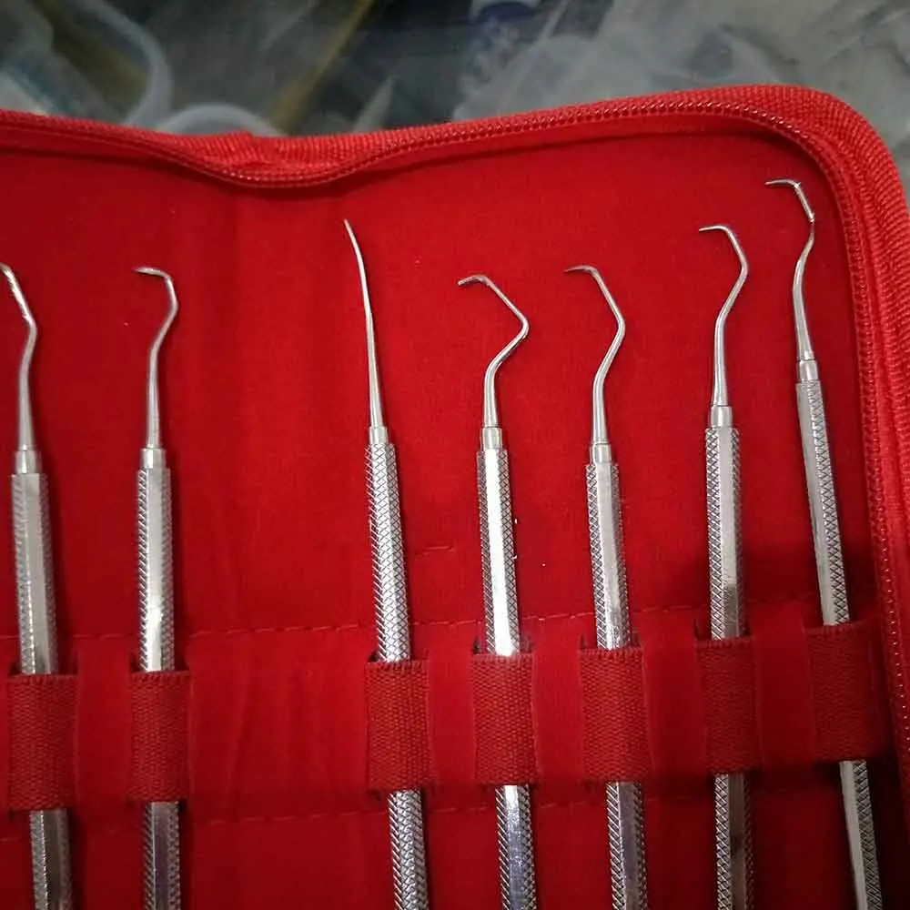 

10 Pcs/Set Dental Professional Periodontal Bone Curettes Perio for Teeth whitening