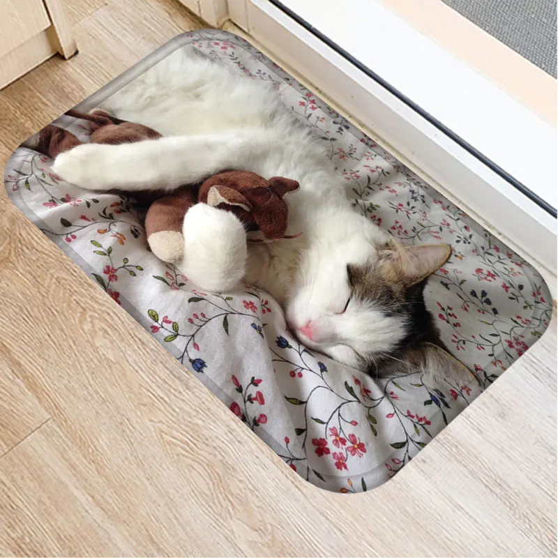 G 1 шт. 40*60 см милый коврик для пола с рисунком кота, нескользящий замшевый Коврик для двери, коврик для дома, кухни, ванной комнаты, гостиной, двери, коврик, 48237 - Цвет: G
