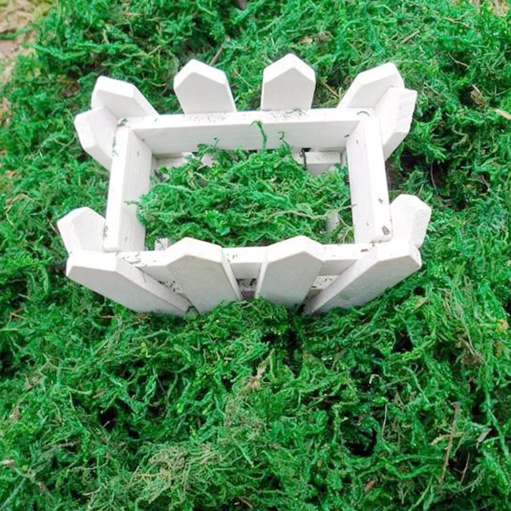 Натуральный сухой зеленый мох мешок 20/50 грамм декоративные растения ваза