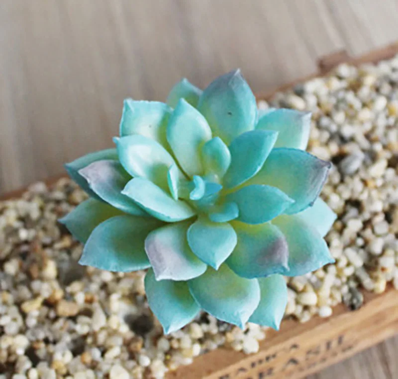 tianshuanglian blue Artificial Succulent Plants Home Decoration Green Blue Plastic Faux Cactus Succulents Simulation Fake Plant Office Decoration - Цвет: tianshuanglian blue