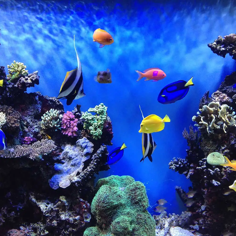 Штепсельная Вилка европейского стандарта для аквариума погружные лампочки 5050 SMD