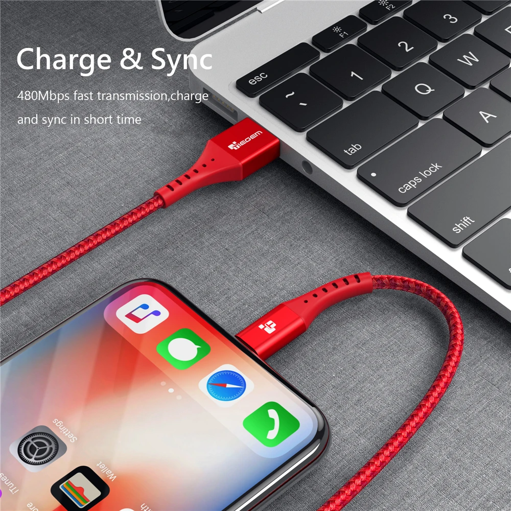 TIEGEM USB кабель для iPhone xs max зарядное устройство USB кабель для передачи данных для iPhone X 8 6 6 S 7 5 5S кабель для зарядки телефона Шнур адаптер 2 м 3 м