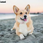 Алмазная живопись для домашних животных сделай сам, вышивка крестиком, валлийский корги, собака, полная квадратнаякруглая вышивка 5d, алмазная вышивка, мозаика, картина Стразы