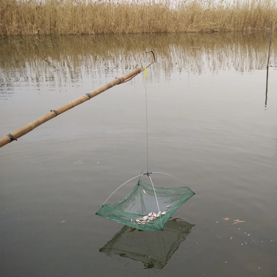 2 шт. Бесплатная доставка рыболовные снасти сети складные сетчатые приманки