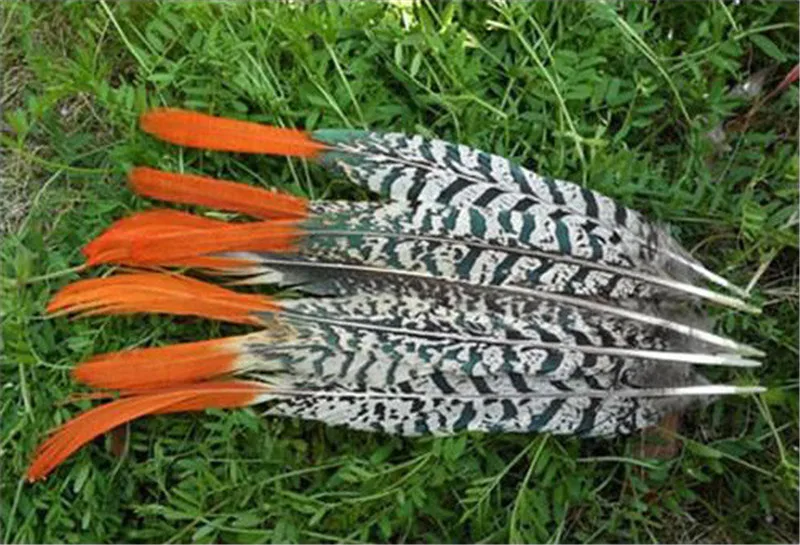 

50pcs/lot 25-30cm /10-12inche real natural color lady amherst's pheasant feathers plumes for jewelry craft gift making bulk sale