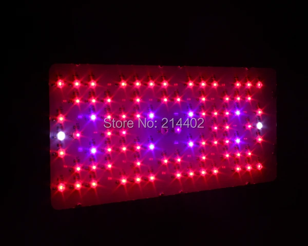 Новый 240 Вт Маяк Гидро Блэкстар светодиодный свет цветения 3 LED's dropshipping - купить