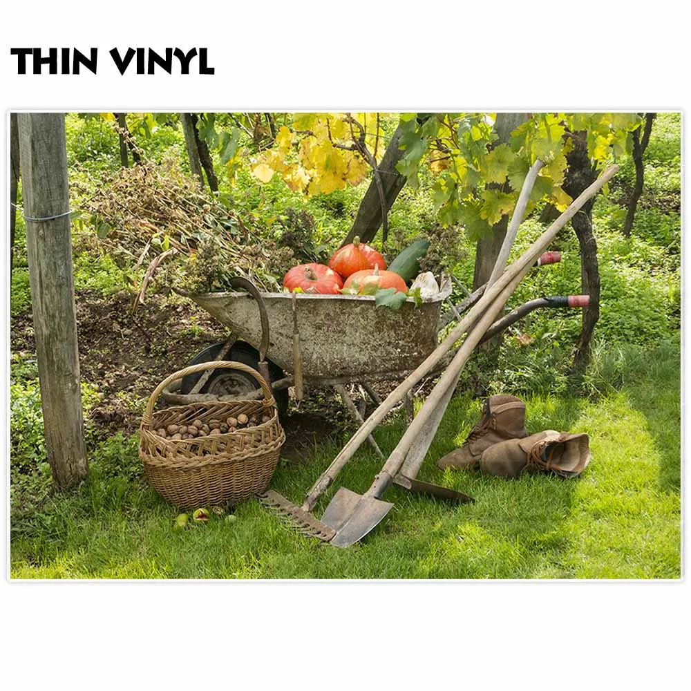 Allenjoy фоны для фотостудии осень в саду Урожай овощей тыквы и орехи фон ферма