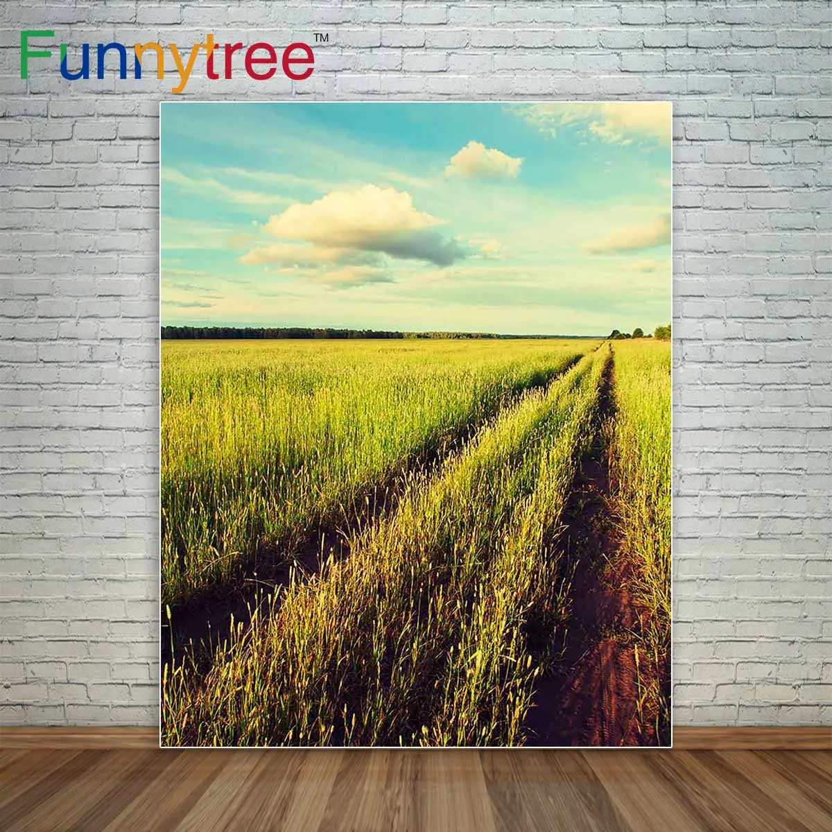Фон Funnytree для фотосъемки с изображением голубого неба и белого облака риса