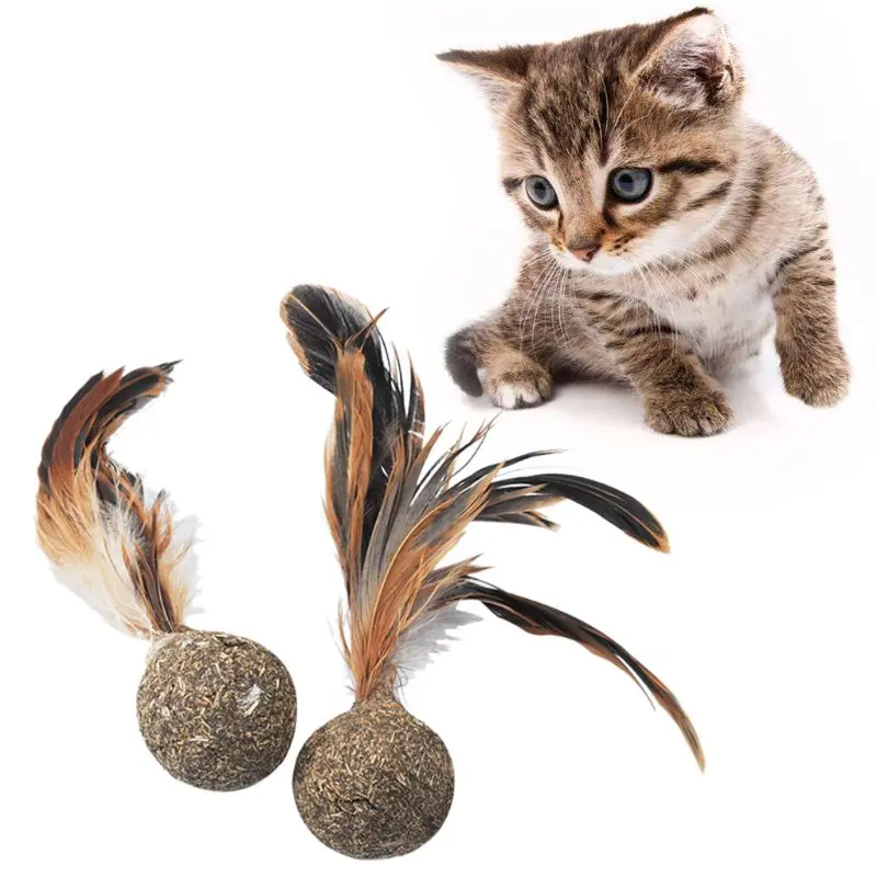 Pet Catnip Toys Soft Feather Cat Toy Ball Treats Interactive Kitten Toys