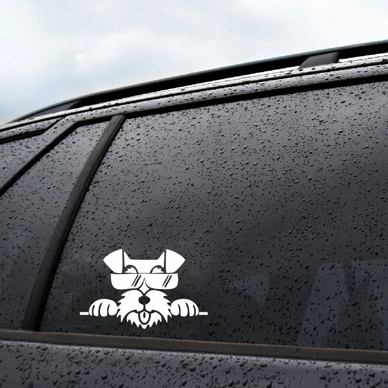 Стандартная бирка для собаки шнауцера индивидуальная Самостоятельная