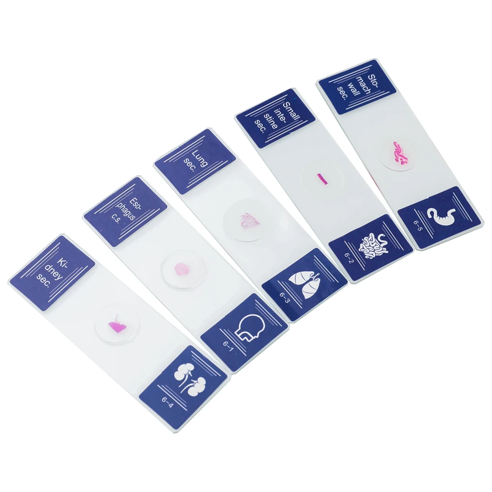 35 шт. предметное стекло для микроскопа образцов красочные биологические образцы