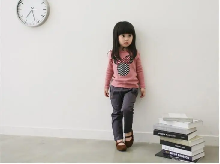 

Free Shipping New Children's Autumn Fall Girls Girls Long Sleeve Shirt Cute Embroidered Children's T-Shirt Item: 467