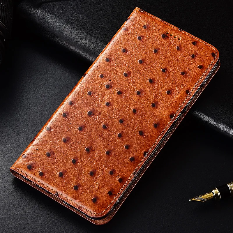 Кофе Страус Текстура чехол для Meizu 15 Lite плюс крышка флип подставка, гнездо для карточек из натуральной кожи чехол для телефона - Цвет: Кофе