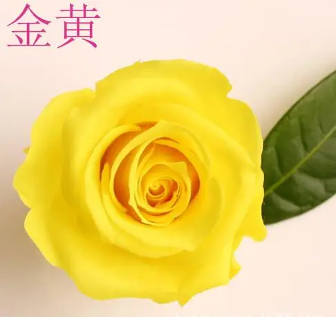 8 шт./кор. золото год Цвет цветок розы Свадебный декор неопытного Романтический