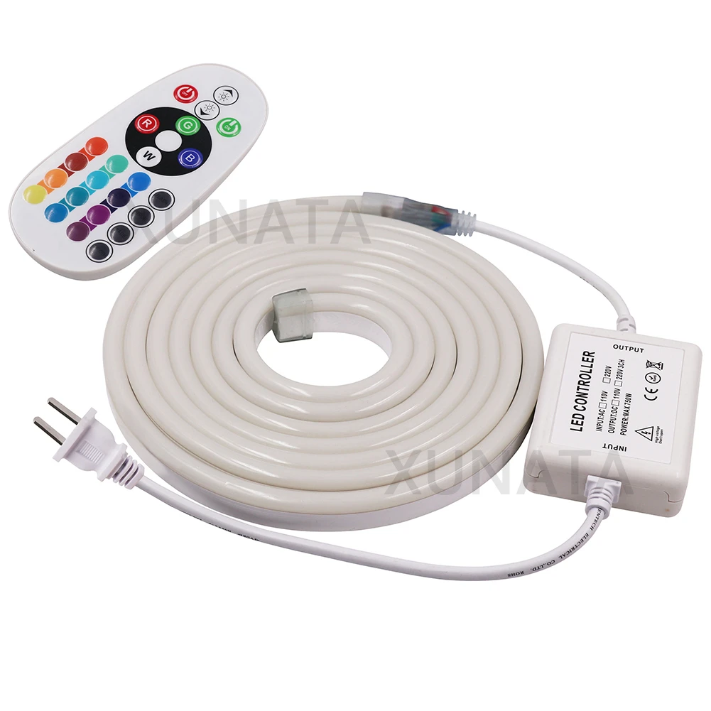 220 В, 110 В, RGB гибкий светодиодный неоновый светильник 5 м, 25 м, 50 м, 100 м, для помещений и улицы, для праздничной вечеринки, Декор, синий, желтый, белый, штепсельная вилка стандарта ЕС/США/Великобритании/Австралии