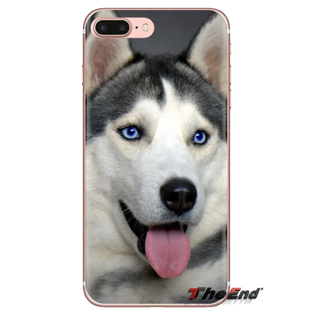 Transparent Soft Shell Covers Husky Dog For Huawei Mate Honor 4C 5C 5X 6X 7 7A 7C 8 9 10 8C 8X 20 Lite Pro |