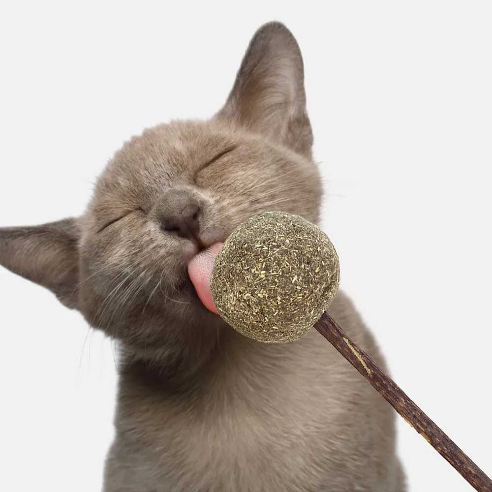 Pet мягкие игрушки для кошек кошачья кошка Жевательные Зубы чистящие лакомства леденец натуральная кошачья мята леденец форма Забавный шар с Silvervine