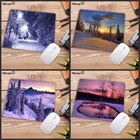 Новинка, скоростной игровой коврик для мыши Mairuige с красивым зимним лесным пейзажем, размер 18x22 см, 20x25 см, 25x29 см, для CSGO, LOL