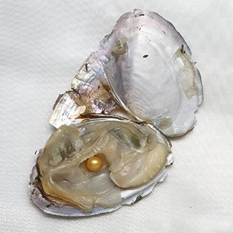 Круглый жемчуг Oyster 5 7 мм 2018 Новый смешанный цвет большой подарок для пресной воды