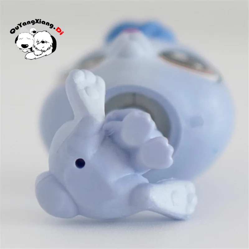 

CW050 Pet Shop