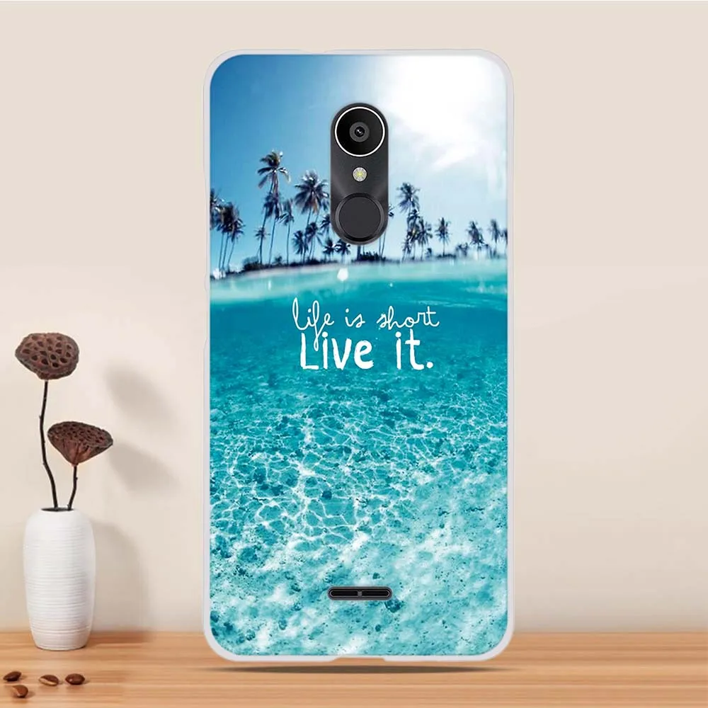 27 Чехол для Alcatel 3C, силиконовый чехол на заднюю панель для Alcatel 3C 5026d, чехол для телефона, мягкий ТПУ бампер, чехол для Alcatel 3C Capas Coque - Цвет: 27