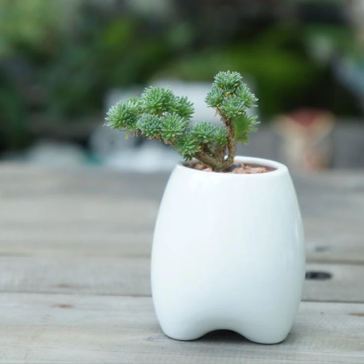 Белый керамический цветочный горшок I pc в форме зубца современный дизайн модель