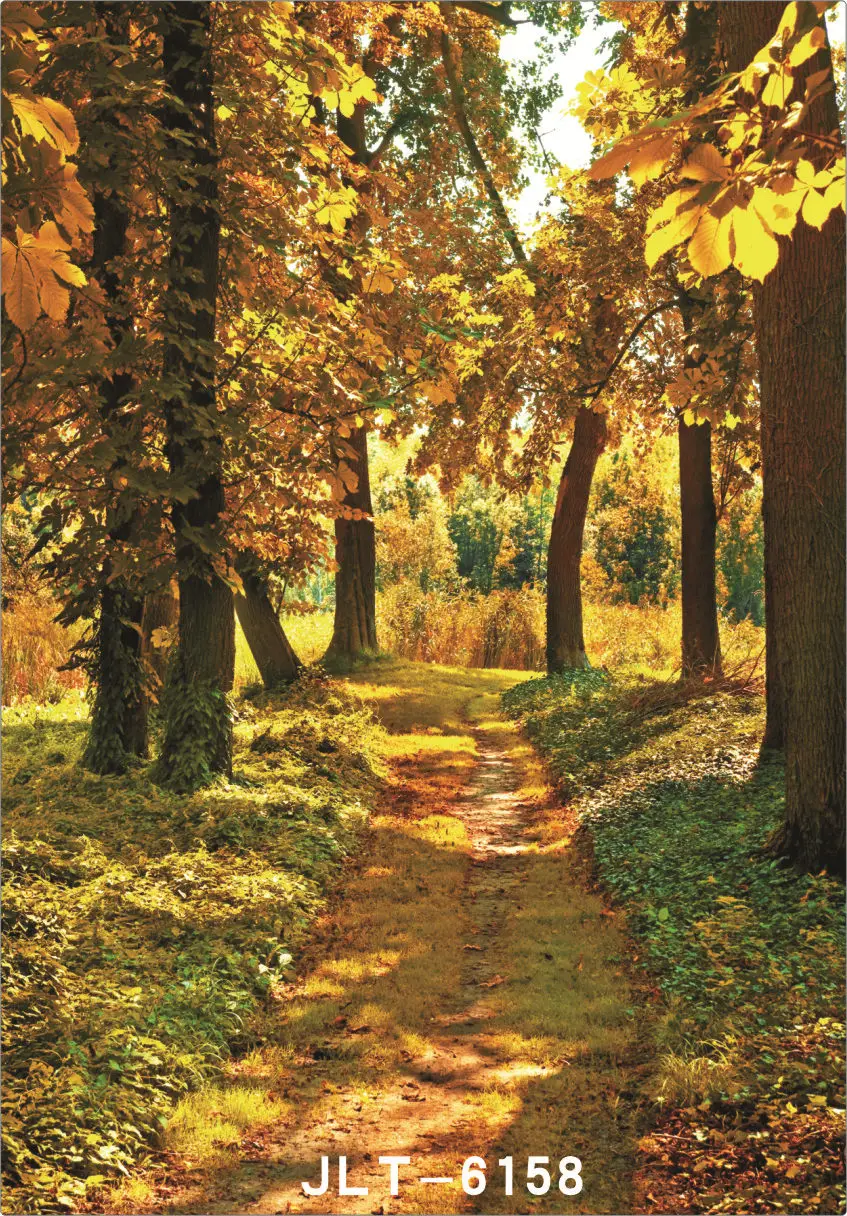 Фотофоны для фотостудии Froest Path Leaves с компьютерной печатью Виниловый фон для фотосъемки свадеб для детей