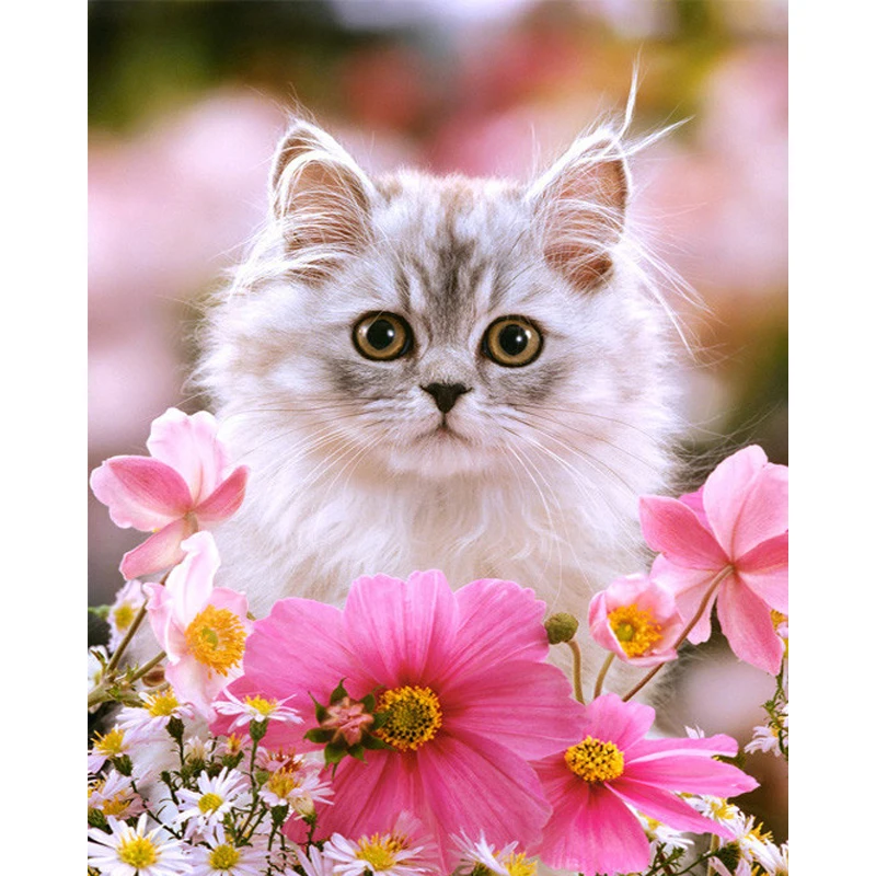 

5D diy diamond painting Cross Stitch 3d Diamond Embroidery mosaic pattern Cat animals picture home decor gift
