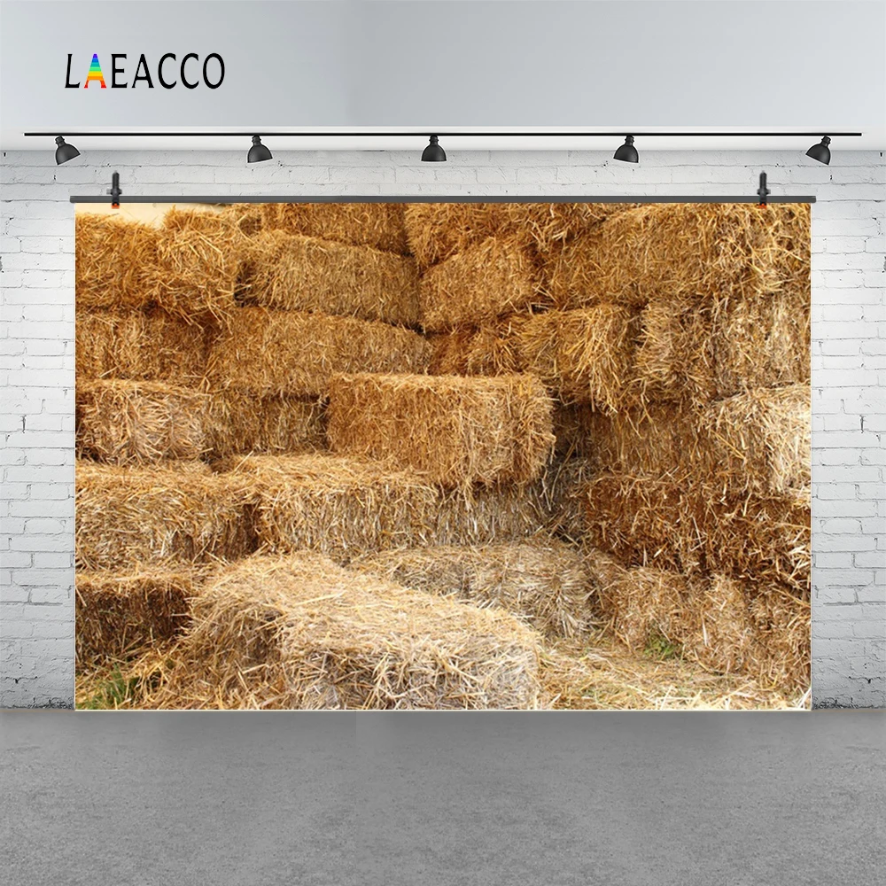 Laeacco стог сена зернистый сельская комната ребенок дети портрет сцена фотографические фоны фотографии фоны для фотостудии