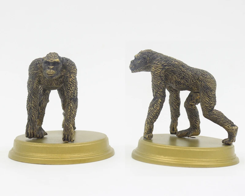 5 шт./компл. модели персонажей из мультфильма Человеческая Эволюция