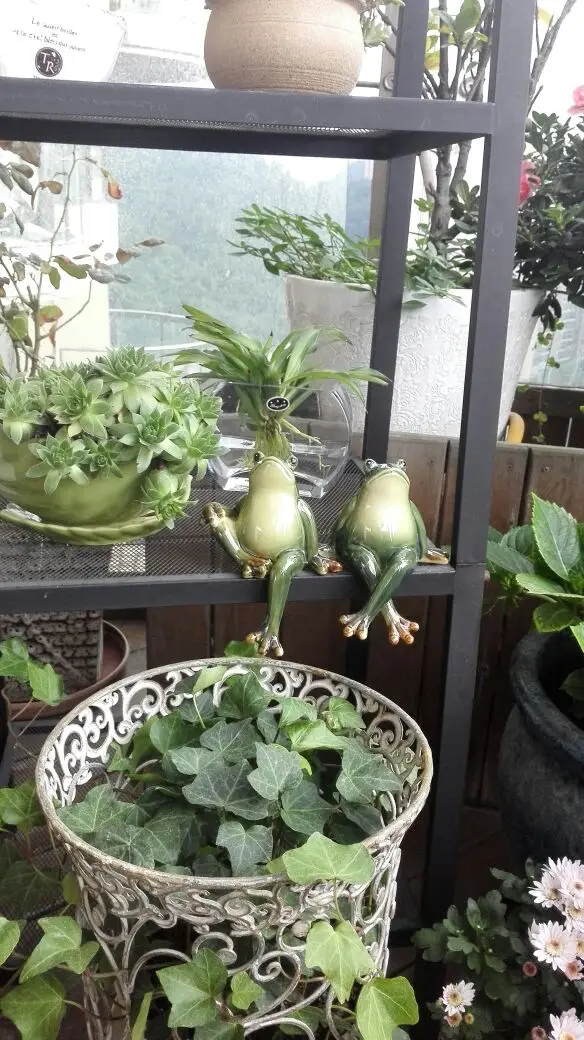 Забавные мультяшные лягушки дневные украшения свадебные Монро декорации