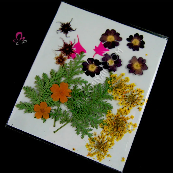 200 шт./10 упаковок сушеных цветов в упаковке|dried flowers|dried flower stickerspressed dried flowers |