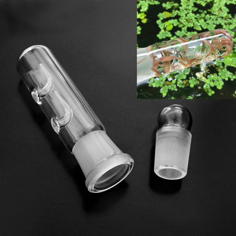 Стекло аквариума для рыб танк Креветки Танк planaria для ловли пиявок избавьтесь от planarian ДЛЯ ХРУСТАЛЬНЫХ креветок