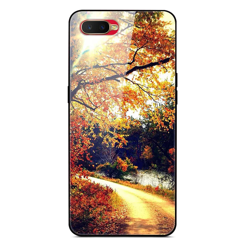 14 Закаленное стекло Чехол для OPPO RX17 Neo Case Жесткий ПК Красочная задняя крышка Для OPPO RX17 Pro RX 17 Neo RX17Neo Чехол для телефона с бампером - Цвет: 14