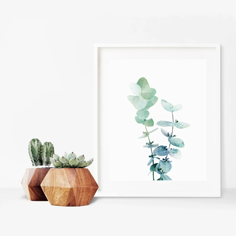 Австралийский лист эвкалипта постер печать современный ботанический завод