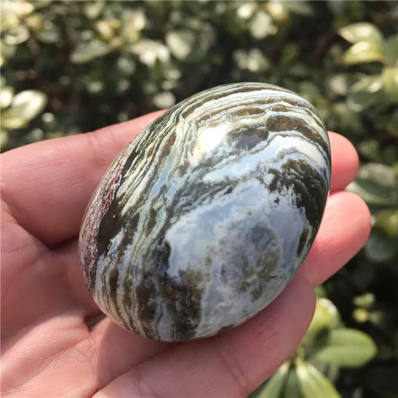 Натуральная Океаническая яшма пальмовый камень драгоценный нерегулярный