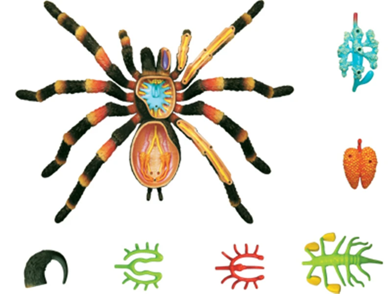 Модные развивающие дизайнерские игрушки 4D животные Баги насекомые мастер