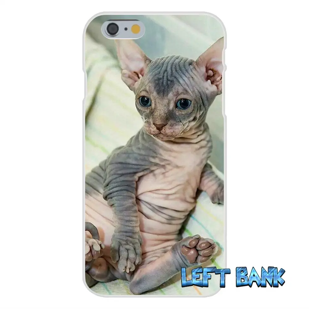 Sphynx Кот Мягкий Силиконовый ТПУ Прозрачный чехол для iPhone 4 4S 5 5S 5C SE 6 6S 7 Plus|case for