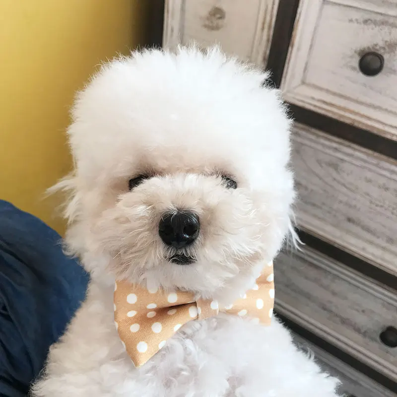 Cheepet Pet Bow Tie Leisure Style Sweet All Season Fashion Cute Adjustable Dog Accessories For Small | Дом и сад
