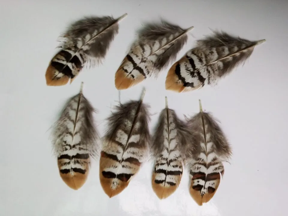 Хорошо! 10 шт st van hoogwaardige natuurlijke fazant veren 6 до см Ambachten Sieraden andere accessoires|fazant veren| |