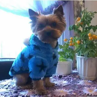 Все звезды йоркшир чихуахуа собака одежда пальто домашнее животное одежда|dog