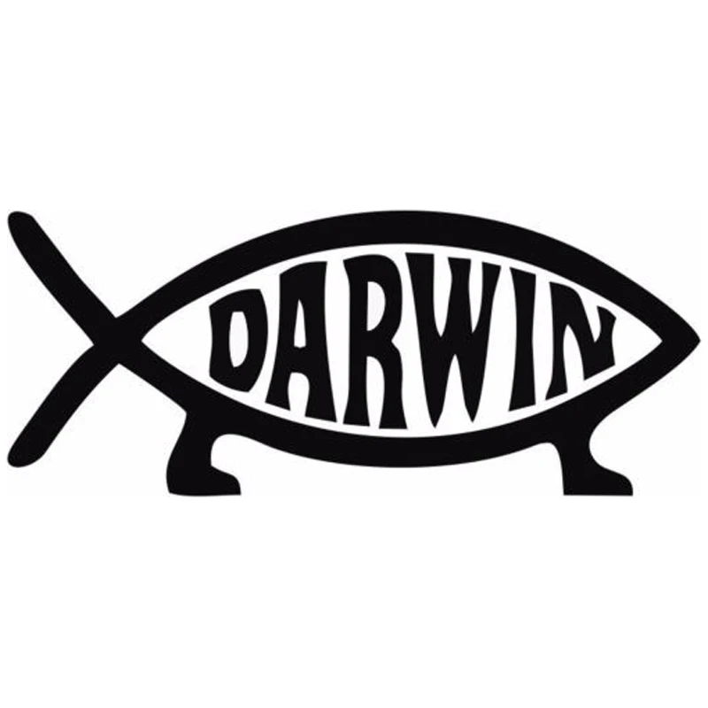 

30cm Darwin Fish Cartoon Car Styling Stickers Decals Vinyl 6ZF-001