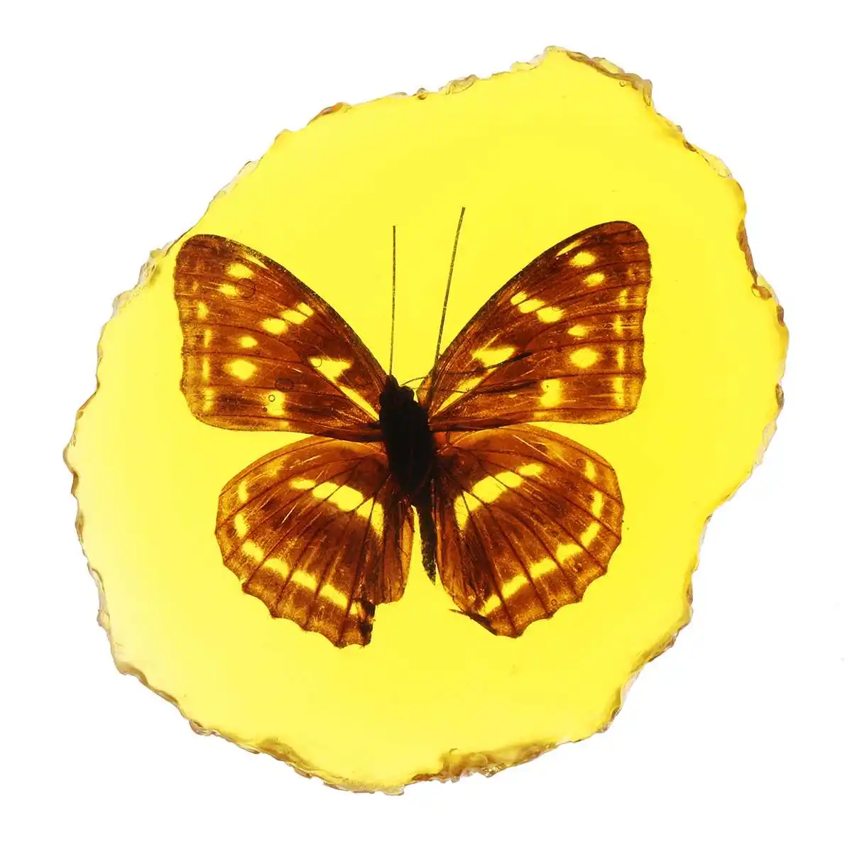 Butterfly Натуральный Янтарный Стрекоза Скорпион бабочка геккон насекомое ручной полировки украшения DIY Орнамент Ремесло подарок для дома - Цвет: Butterfly
